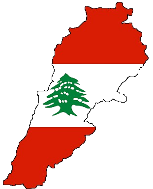 Disaster Relief after Explosion in Beirut